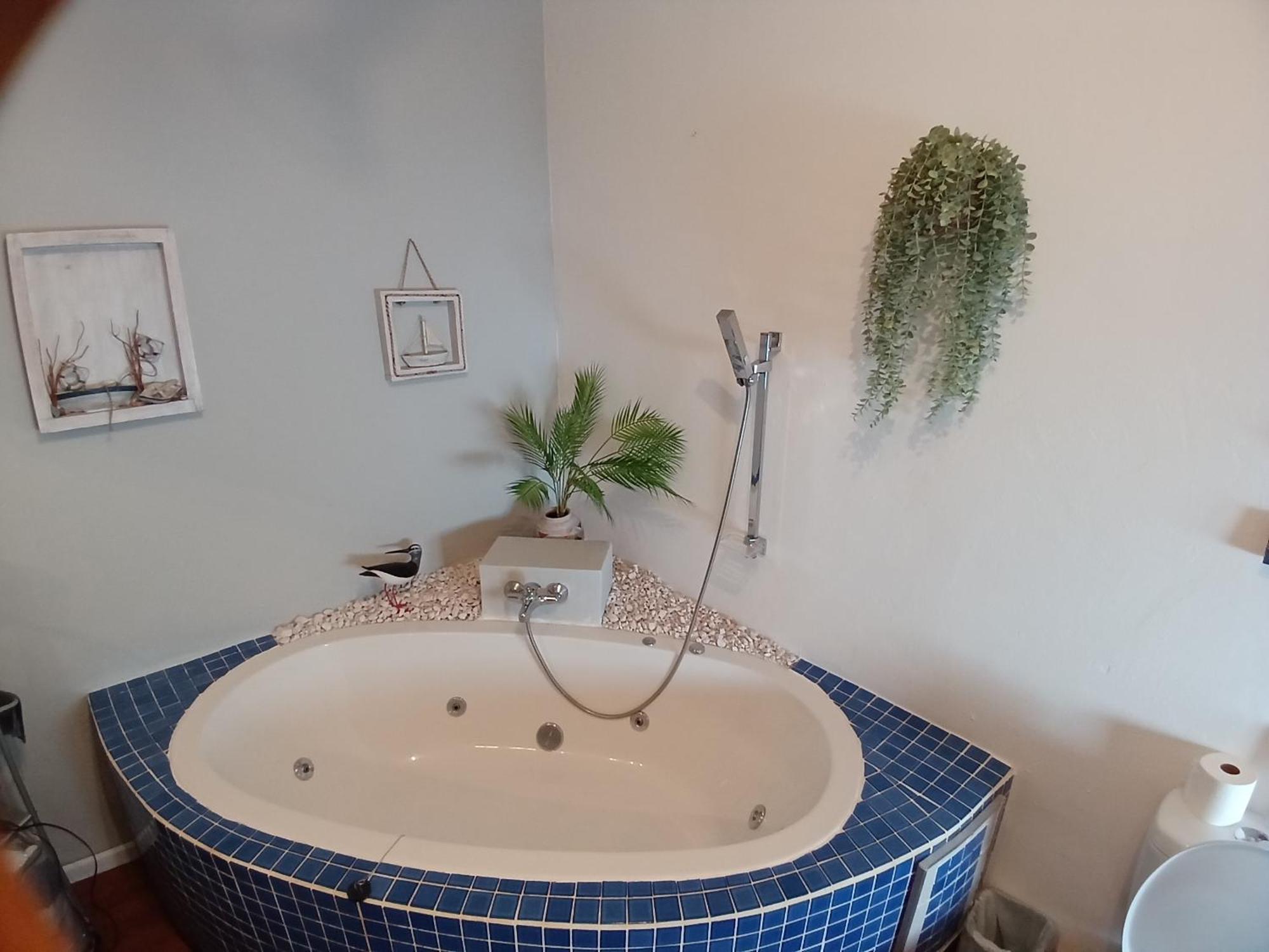 ويلينغتون Ons Stee Bed And Breakfast المظهر الخارجي الصورة